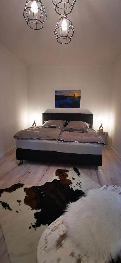 Ferienwohnung Alpakahof Goslar Buitenkant foto