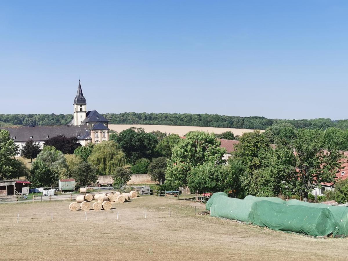 Ferienwohnung Alpakahof Goslar Buitenkant foto